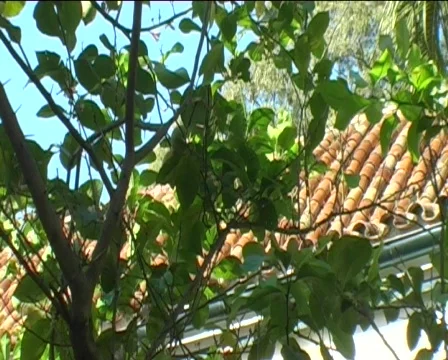 Monastery spain exterior Stock Footage 637835
