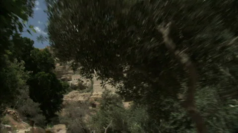 Monastery through trees Stock Footage 721666