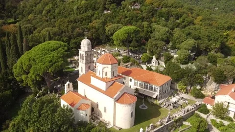 Monastery, top view. The domes of the monastery and the bell tower. Stock Footage 221500695