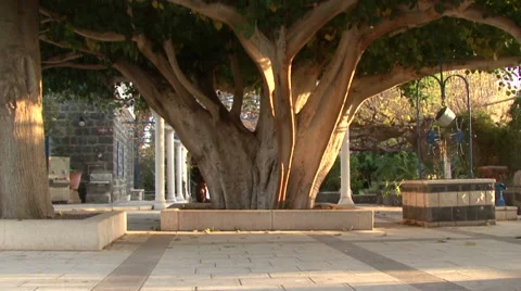 The Monastery of the Twelve Apostles in Capernaum Stock-Footage 51332489