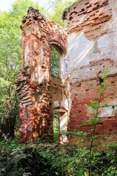 Monastery walls in the forest. Stock Photos