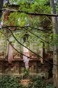 Monastery walls in the forest. Stock Photos