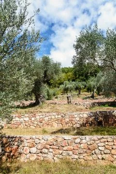 Monastic complex Praskvitsa. Montenegro. Monastery for men. Olive garden Photos