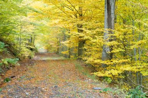 Moncayo Stock Photos