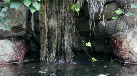 Monchique Pure Water E Stock Footage 38313762