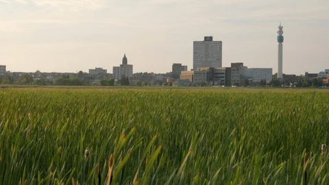 Moncton Skyline in the summer at Sunset with grass blowing in foreground, 4k Stock Footage 113145606