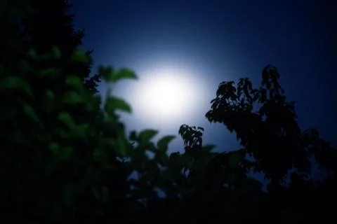 Mondlicht Foto stock