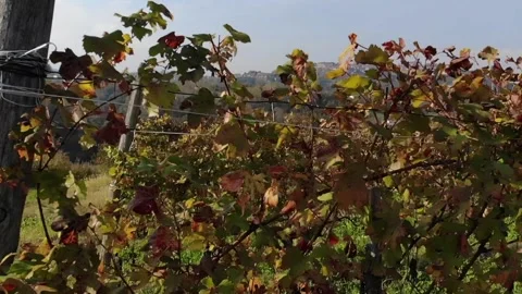 Mondovì Stock Footage 142128359