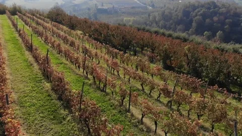 Mondovì 스톡 동영상 142128698