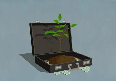 Money and growing sapling inside business briefcase 库存插图