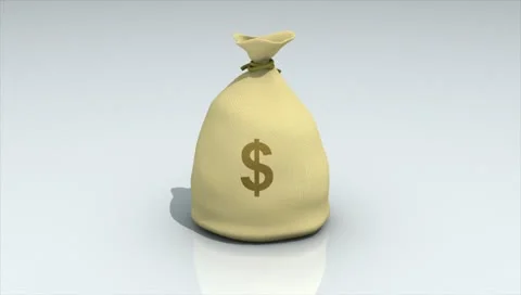 Money Bag Collection Video stock 10758674