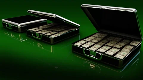 Money Case animation. Stock Footage 281850049