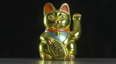 Money Cat Stock Footage 58826276