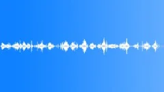 Money Coin Bag FillingSound Effect