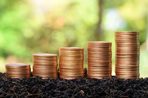 Money coin stack growing graph with sun light bokeh background,investment c.. Stock Photos