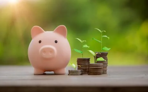 Money coin stack growing graph with piggy bank saving concept. business fin.. Stock Photos