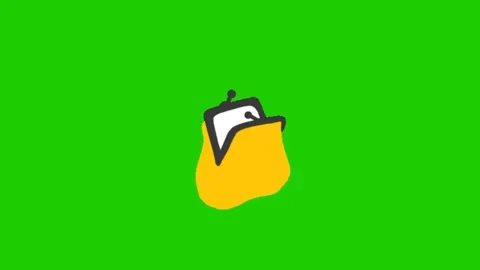 Money Coin Wallet Animation Loop Stock Footage 341079071