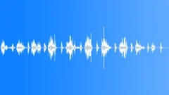 Money Collecting Coins 03Sound Effect