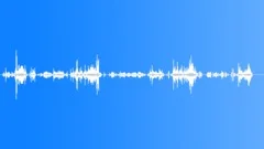 Money Collecting Coins 04 Sound Effect