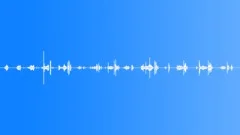 Money Counting Coins 01Sound Effect