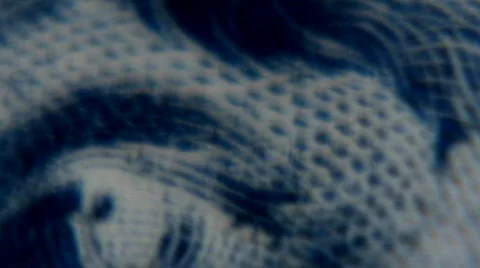 Money Dollars $1 $5 $10 $20 Macro Footage Vidéo 118347