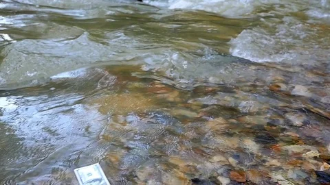 Money dollars bills floating on the river Video stock 84866422