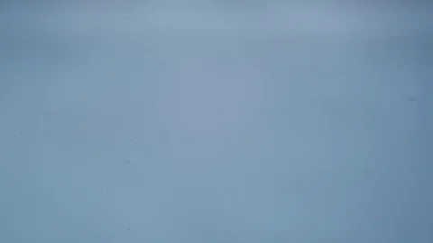 Money Drop Stock Footage 127295950