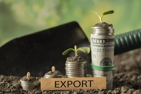 Money export Stock Photos