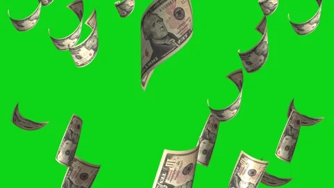 Money Falling Dollars Financial Usd American Currency Green Screen Rain 4K Video Stock Footage 291318128