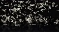 Money Falling Dollars Financial Win US USA American Currency Tax Make It Rain 4k 4k or 4k+ Resolution