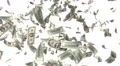 Money Falling Dollars Financial Win US USA American Currency Tax Make It Rain 4k 4k or 4k+ Resolution