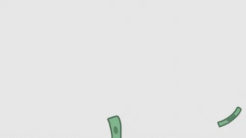 The money falling from the top Stock-Footage 151393403