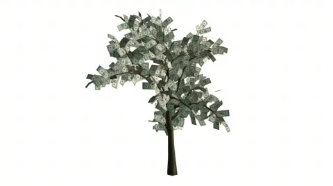 Money falling off of tree Stock Footage