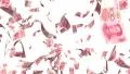 Money Falling Yuan Financial Win US Currency Tax Make It Rain 4k 4k or 4k+ Resolution