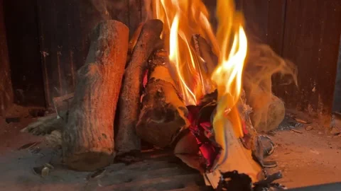 Money on Fire in Fireplace - Concept of Wealth Destruction 스톡 동영상 333263227