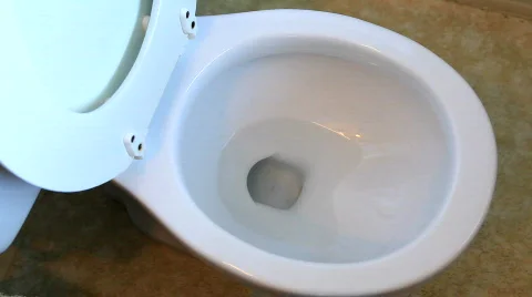 Money Flush Stock Footage 517136