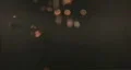 Money flys away HD 影片