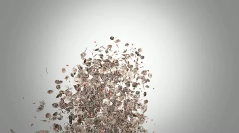 Money Stock Footage 11488066