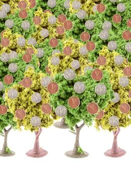 Money forest Stock Photos