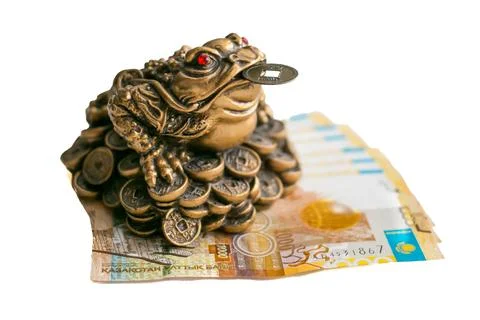 Money frog Stock Photos