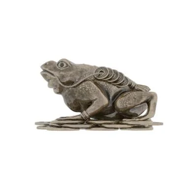 Money frog on a white background. Isolate. Stock Photos
