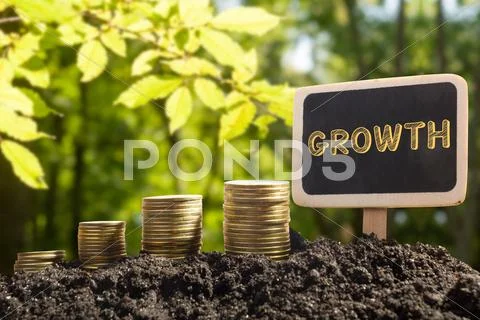 Money growing, Business success concept. Golden coins in soil Chalkboard on Stock Photos