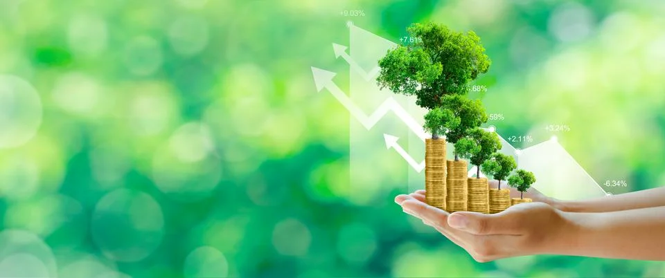 Money growing, Tree growing on stack of coins, sustainable development, csr, Stock Photos