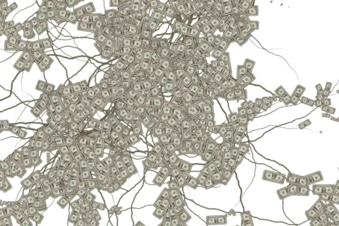 Money Grows 1 Stock Footage 539206
