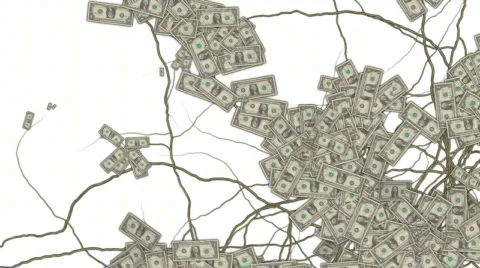 Money Grows 2 Stock Footage 539082