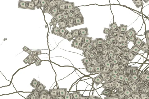 Money Grows 2 動画素材 539095