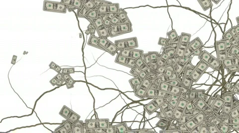 Money Grows 2 Stock Footage 539108