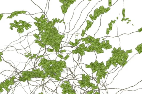 Money grows 3 Video stock 539043