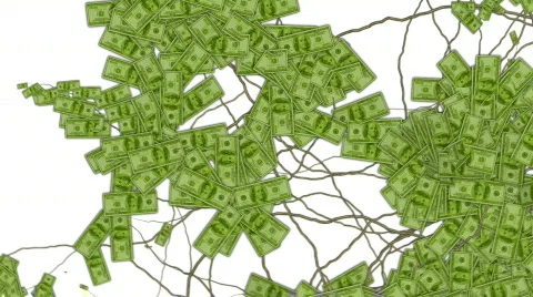 Money grows 4 Stock Footage 538979