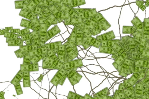 Money grows 4 Stock Footage 539244